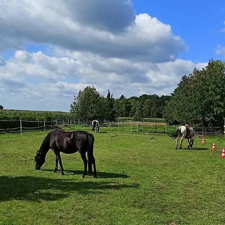 Fenland Mill Ranch Apartmán *