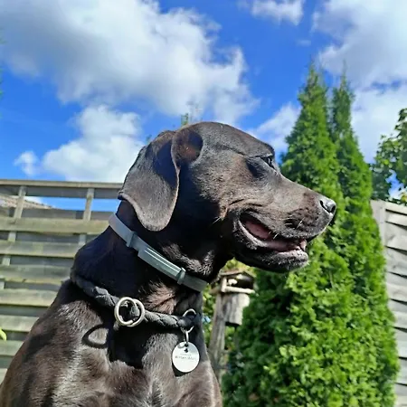 Fenland Mill Ranch Wolthausen