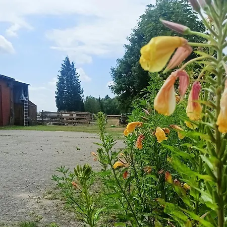 Fenland Mill Ranch