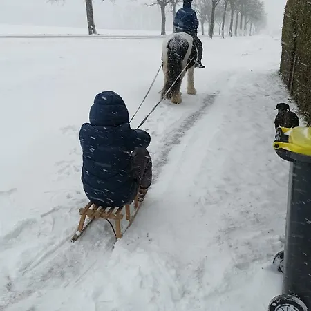 Fenland Mill Ranch Wolthausen