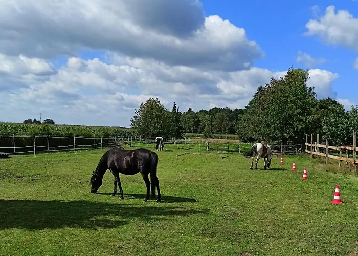 Fenland Mill Ranch Апартаменты *