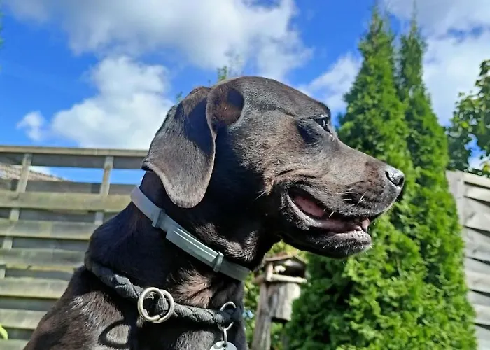 Fenland Mill Ranch Wolthausen