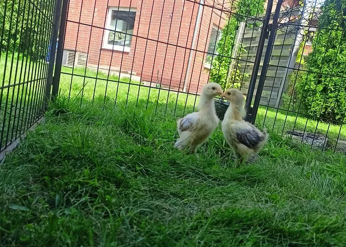 Fenland Mill Ranch Апартаменты