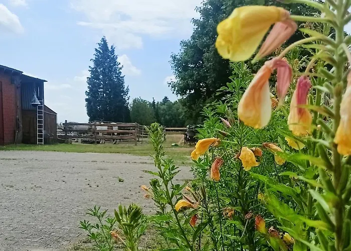 Fenland Mill Ranch