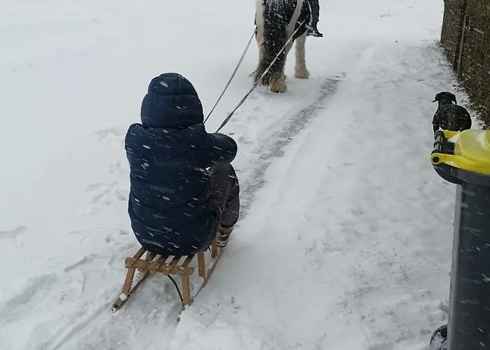 Fenland Mill Ranch Wolthausen